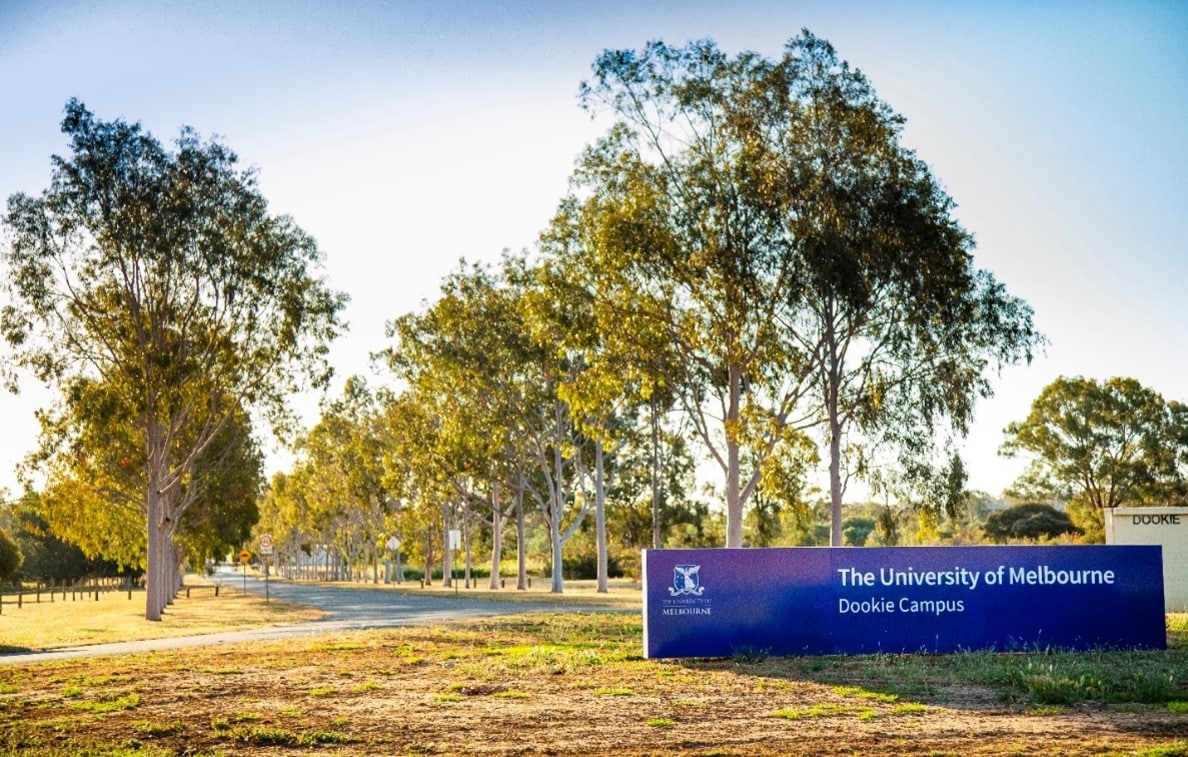 Đại học Melbourne Dooki Campus
